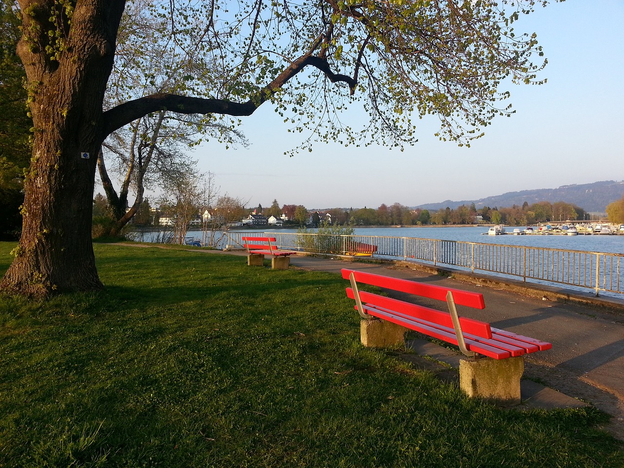 萨拉赫的关 萨拉赫的关