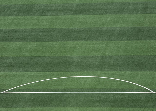 无与伦比的 无与伦比的