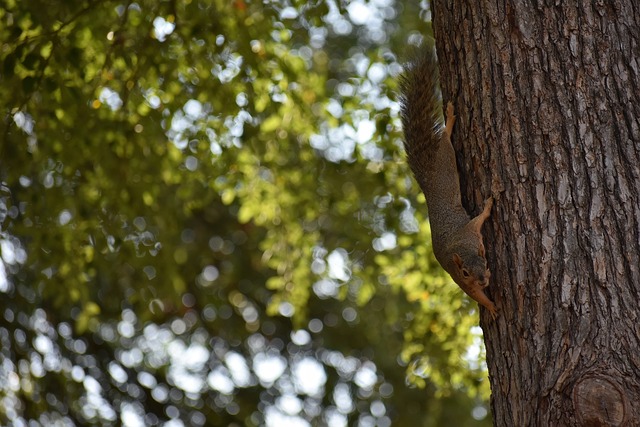 最终成功问 最终成功问