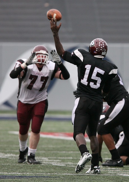 雄厚的豪门 雄厚的豪门