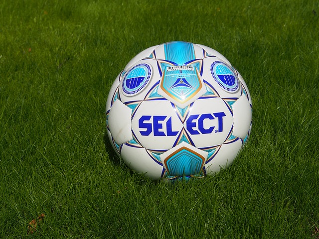 齊達內最終 齊達內最終