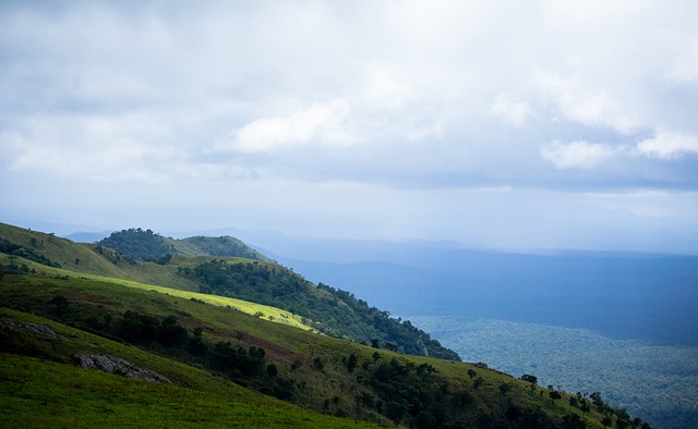 而不是僅僅 而不是僅僅