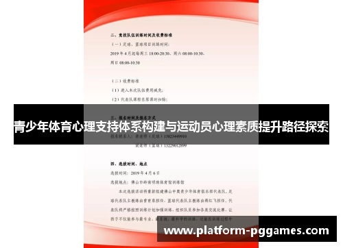 青少年体育心理支持体系构建与运动员心理素质提升路径探索