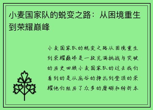 小麦国家队的蜕变之路：从困境重生到荣耀巅峰