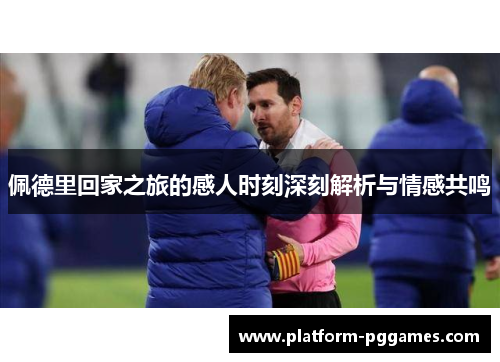 佩德里回家之旅的感人时刻深刻解析与情感共鸣