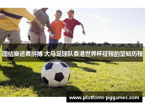 团结奋进勇拼搏 大马足球队香港世界杯征程的坚韧历程