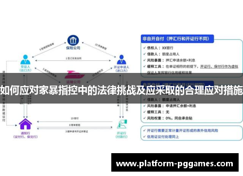 如何应对家暴指控中的法律挑战及应采取的合理应对措施