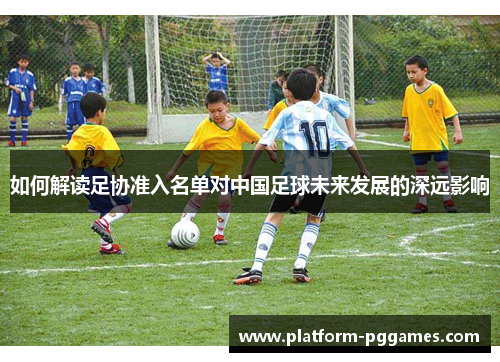 如何解读足协准入名单对中国足球未来发展的深远影响