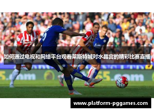 如何通过电视和网络平台观看莱斯特城对水晶宫的精彩比赛直播